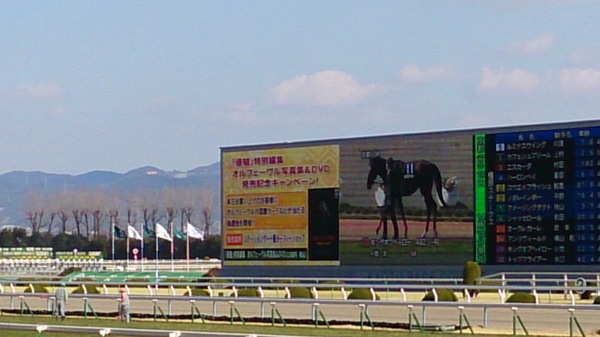 2.25-5.jpg