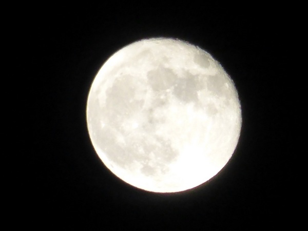 IMG_5463.jpg