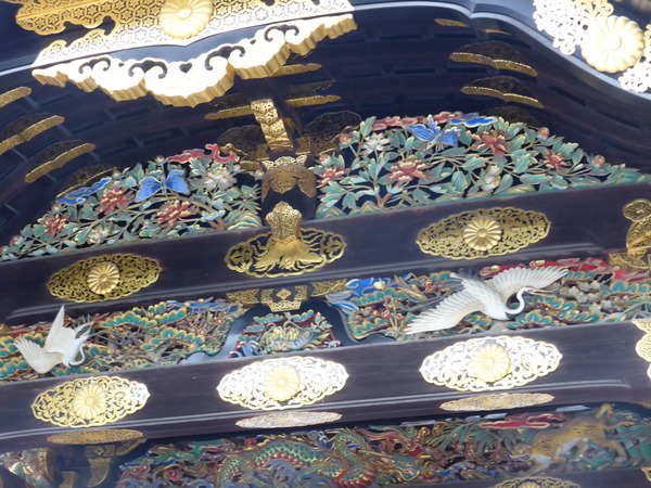 P1010354.JPG