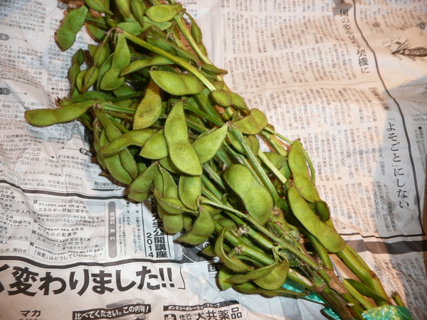 P1120083.JPG