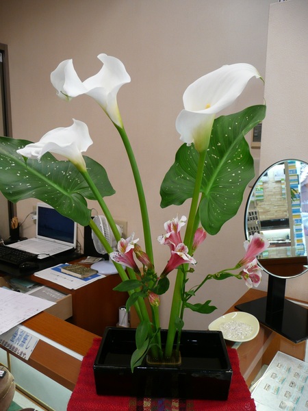 P1180052.JPG