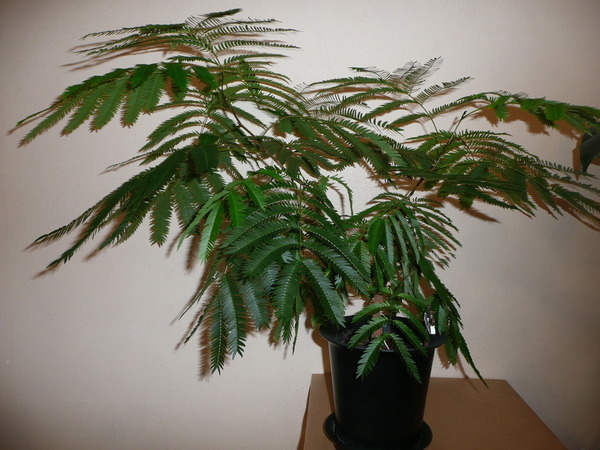 P1220198.JPG