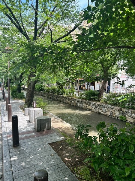 image0.jpeg